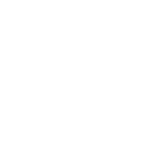 Summit-Naturopathic-IM-Therapy-Icons-Detox-150x150-1